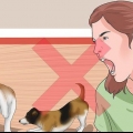 Zorgen dat jy twee honde stop met vechten