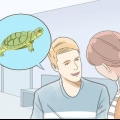 Zorgen vir 'n roodwangschildpad