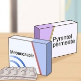 Raak ontslae van speldewurms