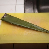 Maak aloe vera sap