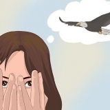 Angst vir vogels oorwin