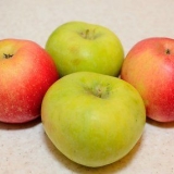 Appelcider maak
