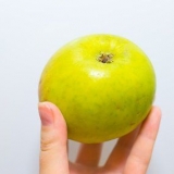 Maak appeltertvulsel