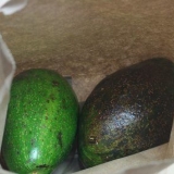 Avokado pasop