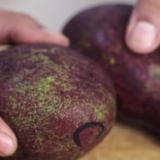 Avokado ingeskryf