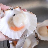 Bevroren coquilles voorberei