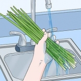 Bieslook gedrogen