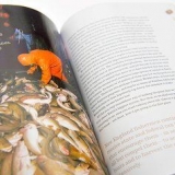 Help om biodiversiteit te beskerm