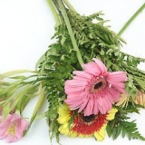 Blommerangskikking