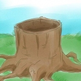 Doodmaak boomwortels