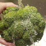 Broccoli berei