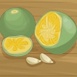 Calamondin plante