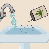 Plant cannabis sade binnenshuis