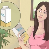 Maak conditioner van melk, vir pragtige en gesonde hare