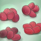 Kweek cranberries