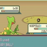 Kry crobat in pokémon emerald