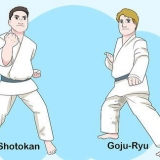 Verstaan ​​die basiese beginsels van karate