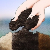 Aanpassing van grond ph