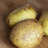 Bak 'n aartappel in die mikrogolf
