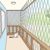 Maak 'n balkon veilig vir katte