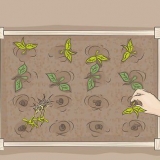 Begin 'n organiese tuin