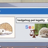 Een egel versorgen