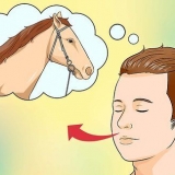 Een gesproke paard tot rust bring