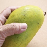 Een goeie mango uitsoek