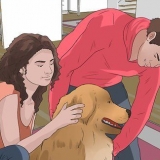 Een hond correct optillen