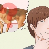 Een hond dikker maak