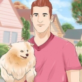 Een hond 'n nuwe naam gee