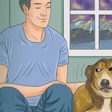 Een hond kalmeren tydens 'n onweersbui