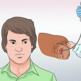 Een hond kunsmatige insemineren