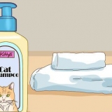 Een kat in slegte doen met minimale skade