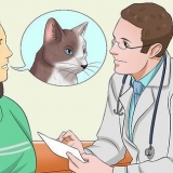 Een kat medicijnen toedienen