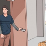 Een kat roepen
