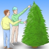 Een kerstboom verzorgen