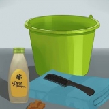 Een kleine hond wassen