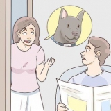 Een kwytgeraakte hond terugvinden