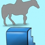Een paard bestijgen