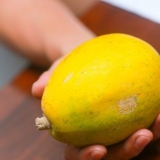 Een rype papaja koop
