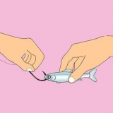 Hekel 'n roach