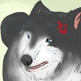 Een zwerfhond benaderd