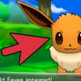 Eevee eevee in espeon of umbreon