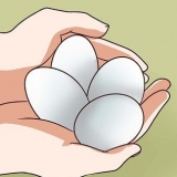 Eiers pasteuriseer