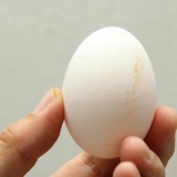 Maak eiers skoon