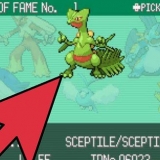 Ontwikkelende feebas in pokémon