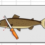 Fileteer en ontbeen forel