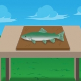 Forel te filet