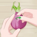 Plant uitgeloopte uie